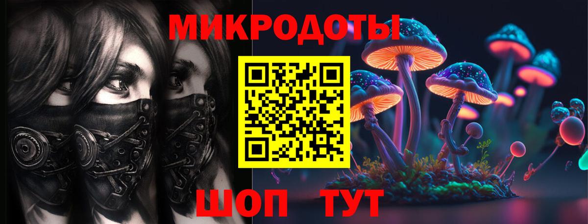 Галлюциногенные грибы Psilocybe Белово